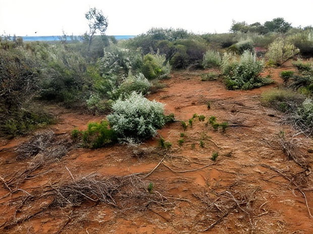 Prime Kimuka 15 Acres at 3.2m Per Acre