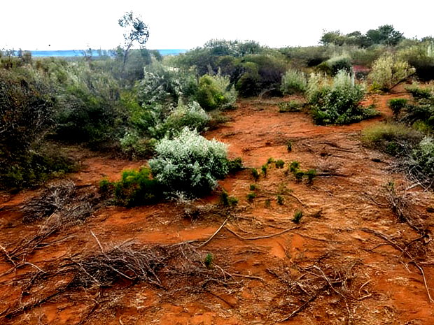 Prime Kimuka 15 Acres at 3.2m Per Acre
