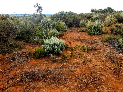 Prime Kimuka 15 Acres at 3.2m Per Acre - Image 1