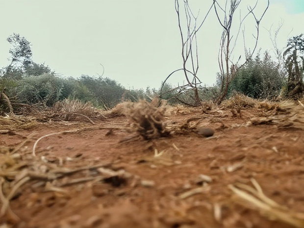 Prime Kimuka 15 Acres at 3.2m Per Acre
