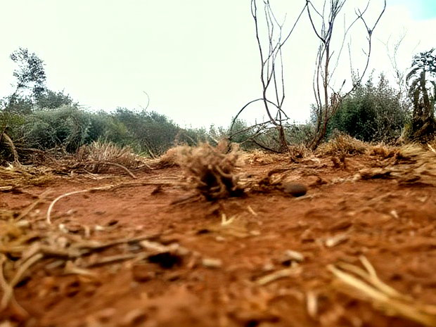 Prime Kimuka 15 Acres at 3.2m Per Acre