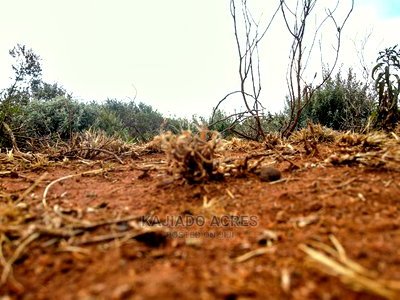 Prime Kimuka 15 Acres at 3.2m Per Acre - Image 2