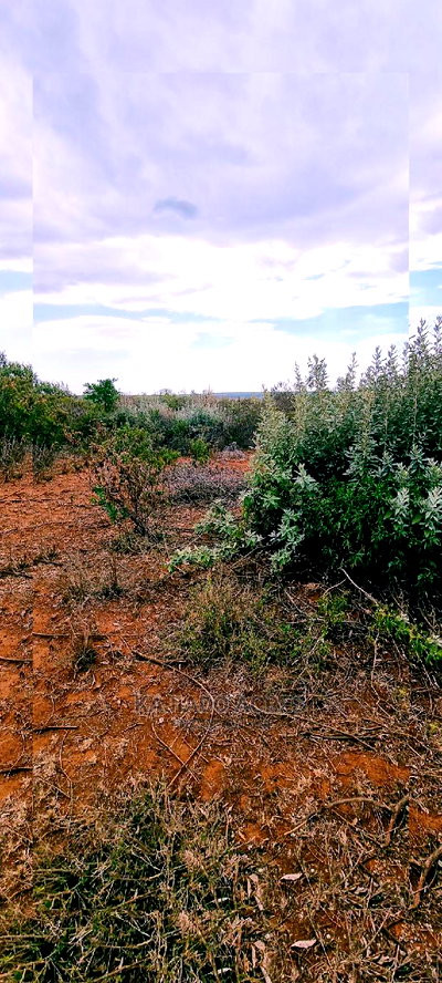 Prime Kimuka 15 Acres at 3.2m Per Acre - Image 10