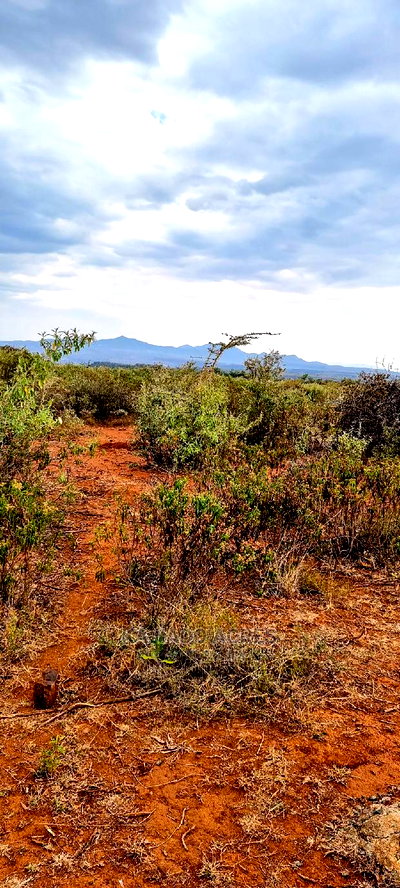 Prime Kimuka 15 Acres at 3.2m Per Acre - Image 9