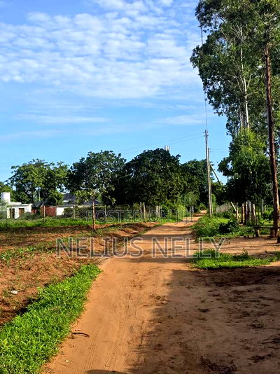 Bofa Prime 3rd Row Beach Plots for Sale - Image 3