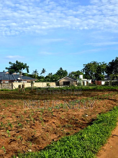 Bofa Prime 3rd Row Beach Plots for Sale - Image 1