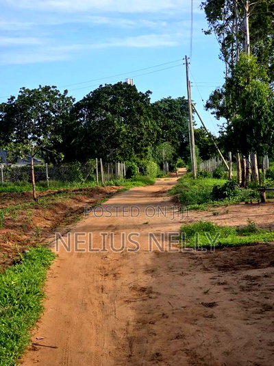 Bofa Prime 3rd Row Beach Plots for Sale - Image 2