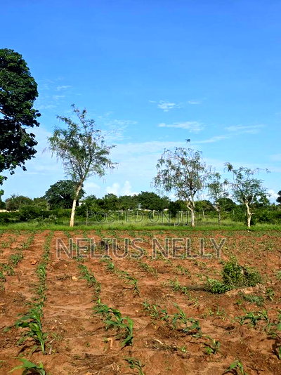 Bofa Prime 3rd Row Beach Plots for Sale - Image 4