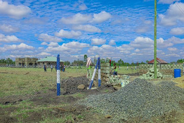 Prime Plots in Jujafarm