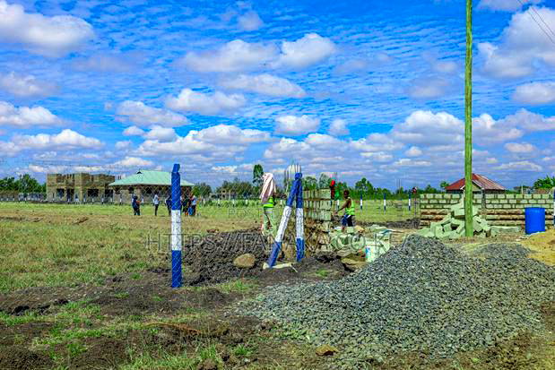 Prime Plots in Jujafarm