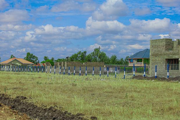 Prime Plots in Jujafarm