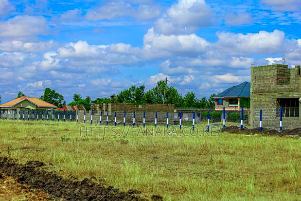 Prime Plots in Jujafarm