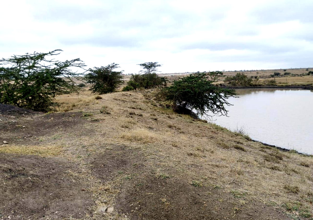 1 Acre Plot Next to Enchipai Campsite