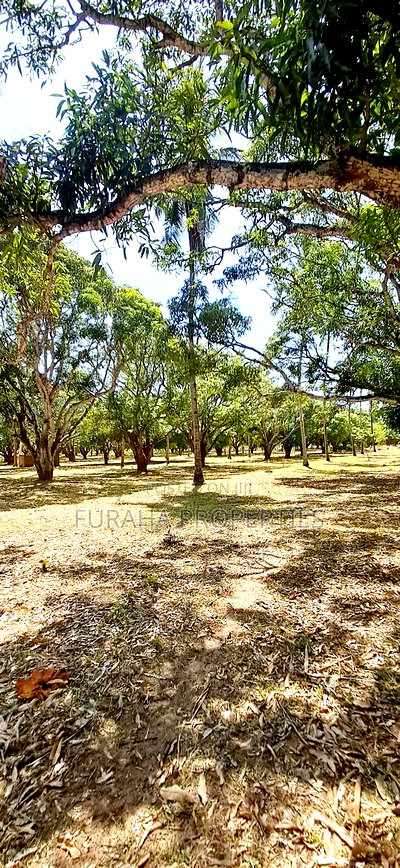 For Sale One Acre Land Mtwapa - Image 7