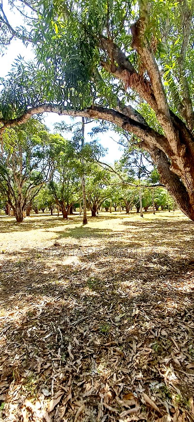 For Sale One Acre Land Mtwapa - Image 2