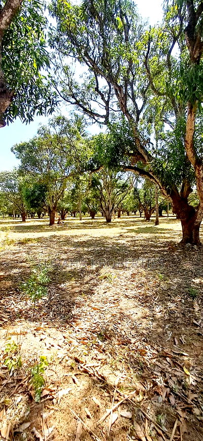 For Sale One Acre Land Mtwapa - Image 1