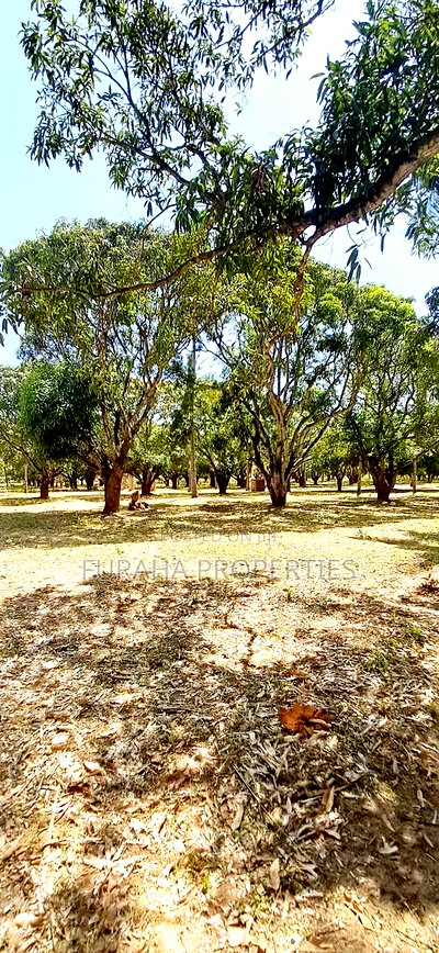 For Sale One Acre Land Mtwapa - Image 8