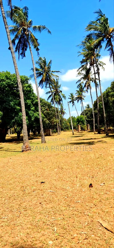 For Sale One Acre Land Mtwapa - Image 5