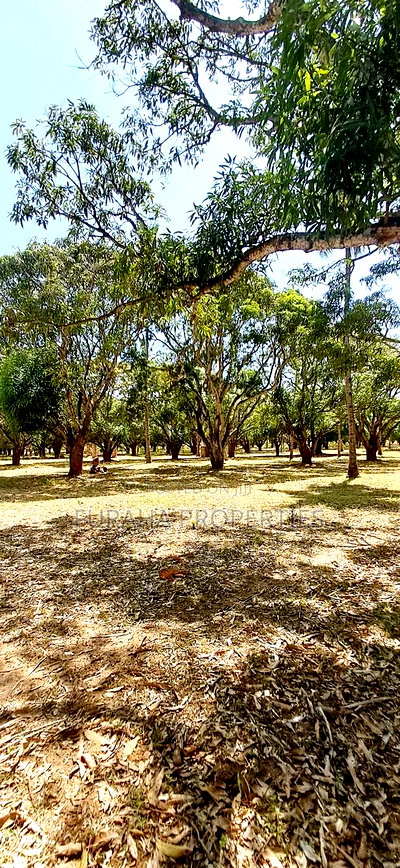 For Sale One Acre Land Mtwapa - Image 3