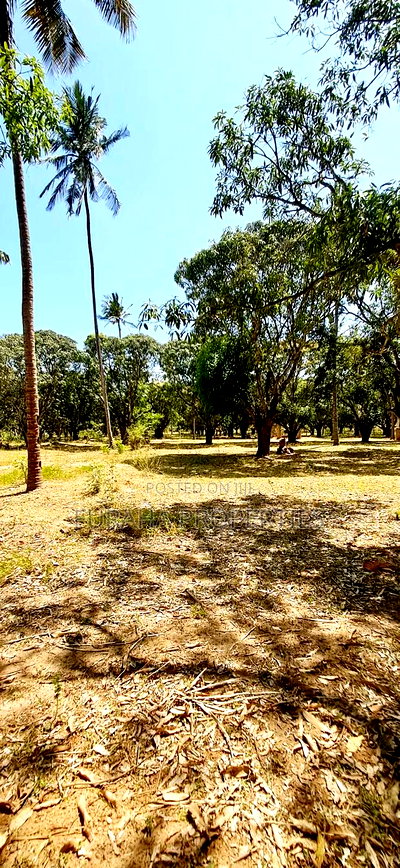For Sale One Acre Land Mtwapa - Image 4