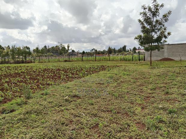 Prime Plots in Kibulgeny Kiplombe