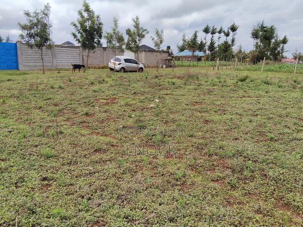 Prime Plots in Kibulgeny Kiplombe