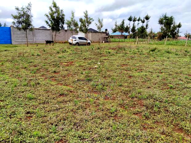Prime Plots in Kibulgeny Kiplombe