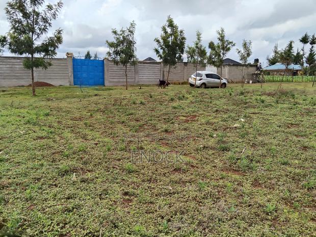 Prime Plots in Kibulgeny Kiplombe