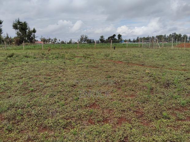 Prime Plots in Kibulgeny Kiplombe