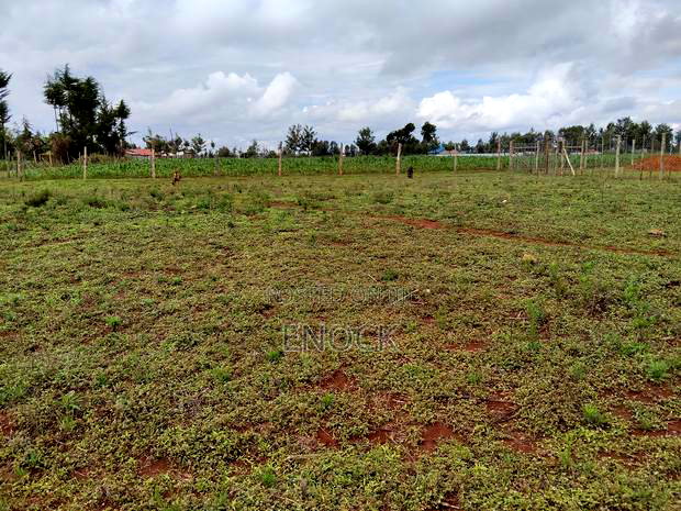 Prime Plots in Kibulgeny Kiplombe