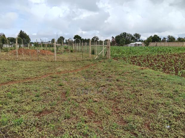 Prime Plots in Kibulgeny Kiplombe