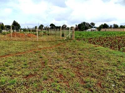 Prime Plots in Kibulgeny Kiplombe - Image 4
