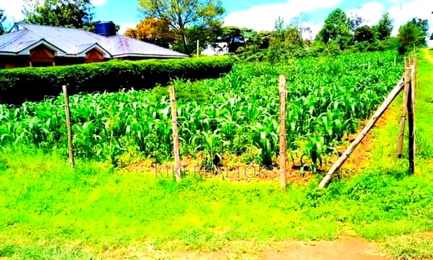 Kikuyu Plots for Sale (Ha_koinange