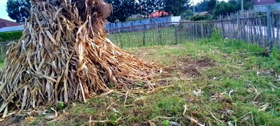 Plot for Sale in Illula Eldoret City After Kapsoya - Image 2