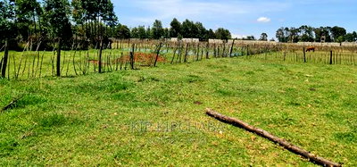Prime Plot for Sale in Royalton After Annex Eldoret - Image 4