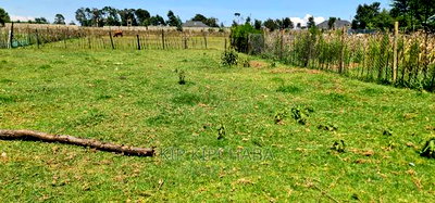 Prime Plot for Sale in Royalton After Annex Eldoret - Image 1