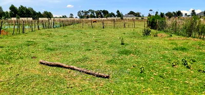 Prime Plot for Sale in Royalton After Annex Eldoret - Image 2