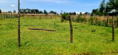 Prime Plot for Sale in Royalton After Annex Eldoret - Image 9