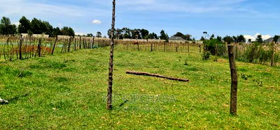 Prime Plot for Sale in Royalton After Annex Eldoret - Image 10