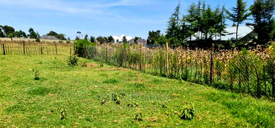 Prime Plot for Sale in Royalton After Annex Eldoret - Image 7