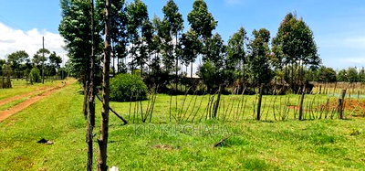 Prime Plot for Sale in Royalton After Annex Eldoret - Image 6