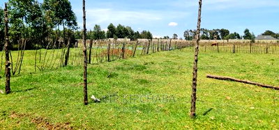 Prime Plot for Sale in Royalton After Annex Eldoret - Image 8
