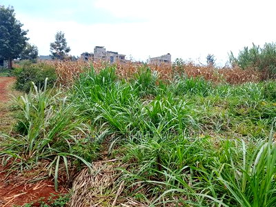 50x100 Residential Plot Kiora Estate Kiambu - Image 2