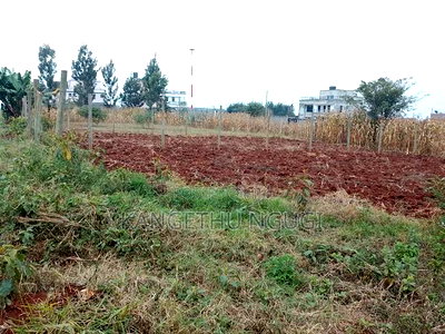 50x100 Residential Plot Kiora Estate Kiambu - Image 3