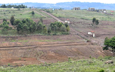 50x100 Garden Plot with Parking