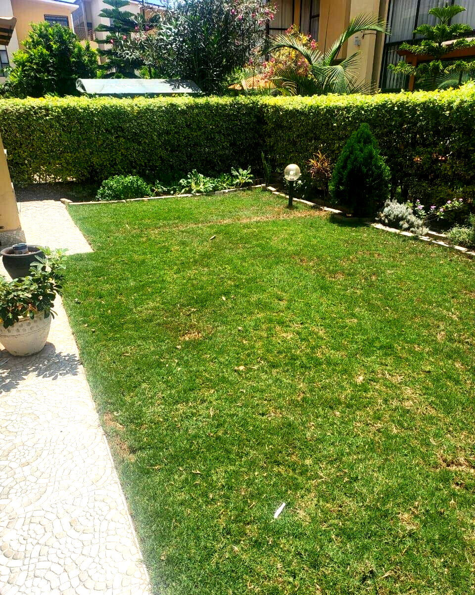 4BR Townhouse Overlooking Nairobi National Park - Syokimau