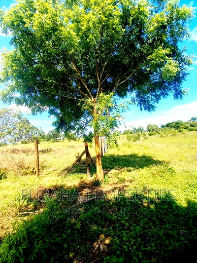 For Sale 2.7 Acre Land Dongo Kundu Bypass - Image 2