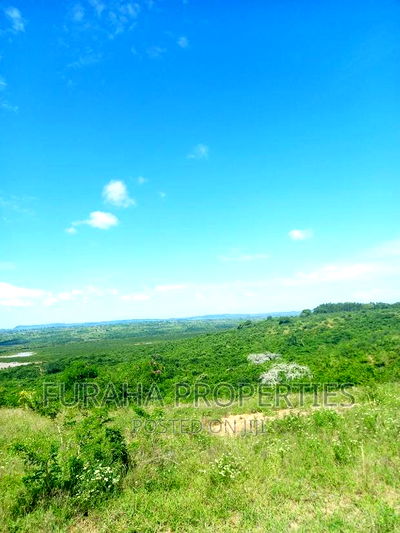 For Sale 2.7 Acre Land Dongo Kundu Bypass - Image 4