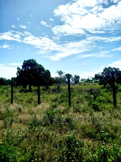 For Sale 2.7 Acre Land Dongo Kundu Bypass - Image 5