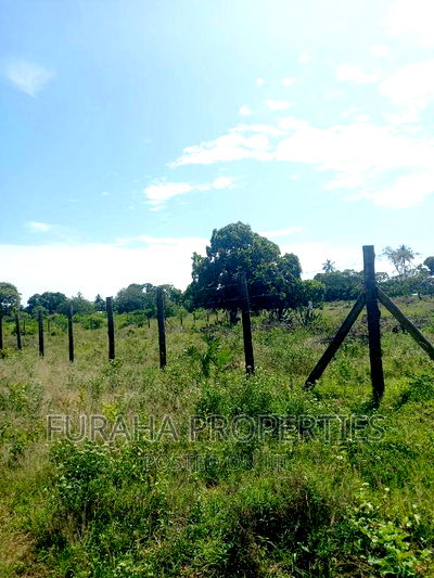 For Sale 2.7 Acre Land Dongo Kundu Bypass - Image 6